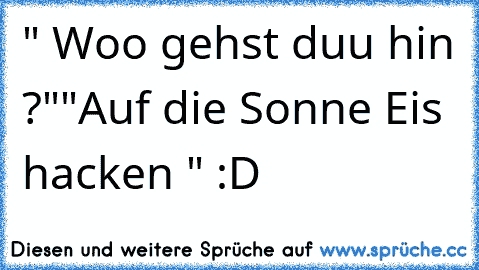 " Woo gehst duu hin ?"
"Auf die Sonne Eis hacken " :D