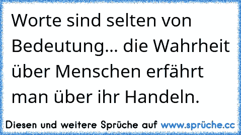 Worte sind selten von Bedeutung... die Wahrheit über Menschen erfährt man über ihr Handeln.