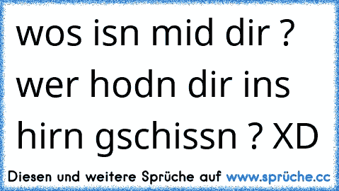 wos isn mid dir ? wer hodn dir ins hirn gschissn ? XD