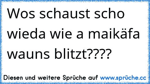 Wos schaust scho wieda wie a maikäfa wauns blitzt????