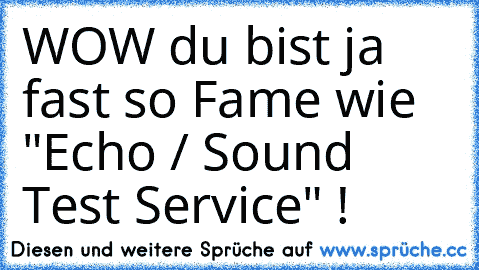 WOW du bist ja fast so Fame wie "Echo / Sound Test Service" !