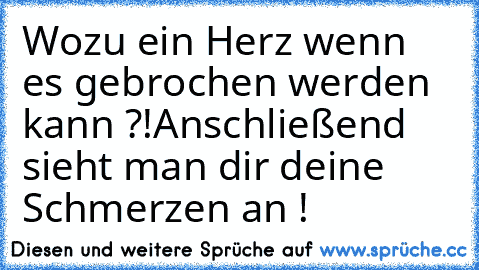 Wozu ein Herz wenn es gebrochen werden kann ?!
Anschließend sieht man dir deine Schmerzen an !