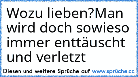 Wozu lieben?Man wird doch sowieso immer enttäuscht und verletzt