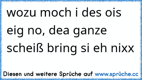 wozu moch i des ois eig no, dea ganze scheiß bring si eh nixx