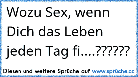 Wozu Sex, wenn Dich das Leben jeden Tag fi....??????