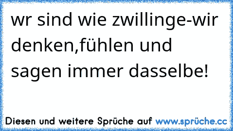 wr sind wie zwillinge-wir denken,fühlen und sagen immer dasselbe!