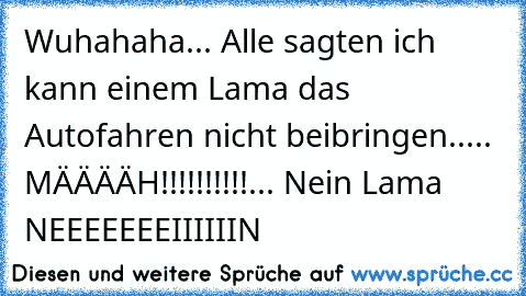 Wuhahaha... Alle sagten ich kann einem Lama das Autofahren nicht beibringen..... MÄÄÄÄH!!!!!!!!!!... Nein Lama NEEEEEEEIIIIIIN