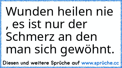 Wunden heilen nie , es ist nur der Schmerz an den man sich gewöhnt.