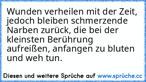 Wunden verheilen mit der Zeit, jedoch bleiben schmerzende Narben zurück, die bei der kleinsten Berührung aufreißen, anfangen zu bluten und weh tun.