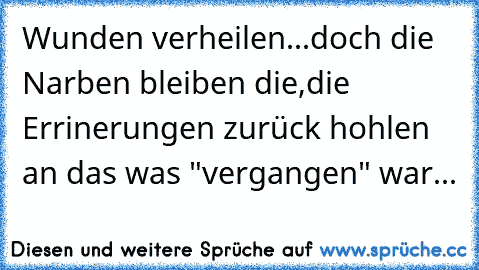 Wunden verheilen...doch die Narben bleiben die,die Errinerungen zurück hohlen an das was "vergangen" war...