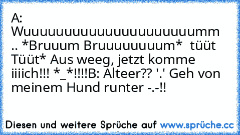 A:  Wuuuuuuuuuuuuuuuuuuuuumm .. *Bruuum Bruuuuuuuum*  tüüt Tüüt* Aus weeg, jetzt komme iiiich!!! *_*!!!!
B: Alteer?? '.' Geh von meinem Hund runter -.-!!