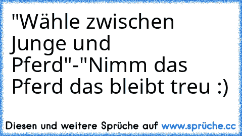 "Wähle zwischen Junge und Pferd"-"Nimm das Pferd das bleibt treu :)