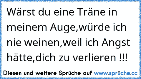 Wärst du eine Träne in meinem Auge,
würde ich nie weinen,
weil ich Angst hätte,dich zu verlieren !!!