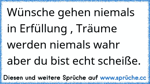 Wünsche gehen niemals in Erfüllung , Träume werden niemals wahr aber du bist echt scheiße.