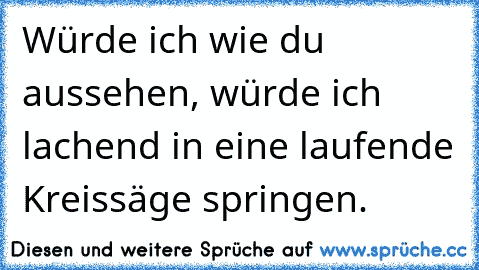 Würde ich wie du aussehen, würde ich lachend in eine laufende Kreissäge springen.