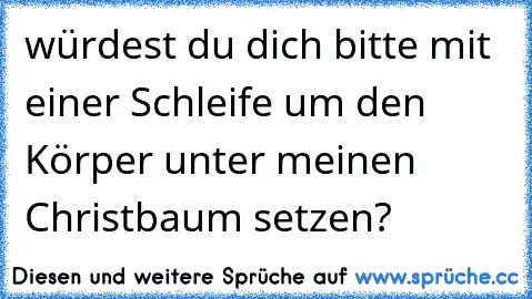 würdest du dich bitte mit einer Schleife um den Körper unter meinen Christbaum setzen?