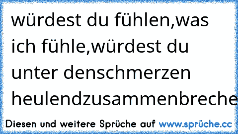 würdest du fühlen,
was ich fühle,
würdest du unter den
schmerzen heulend
zusammenbrechen!!!!!!