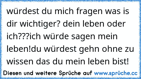 würdest du mich fragen was is dir wichtiger? dein leben oder ich???
ich würde sagen mein leben!
du würdest gehn ohne zu wissen das du mein leben bist!