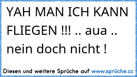 YAH MAN ICH KANN FLIEGEN !!! .. aua .. nein doch nicht !