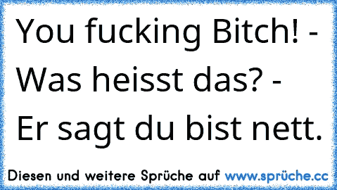 You fucking Bitch! - Was heisst das? - Er sagt du bist nett.