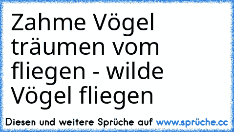 Zahme Vögel träumen vom fliegen - wilde Vögel fliegen