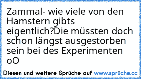 Zammal- wie viele von den Hamstern gibts eigentlich?
Die müssten doch schon längst ausgestorben sein bei des Experimenten oO