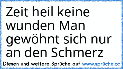 Zeit heil keine wunden 
Man gewöhnt sich nur an den Schmerz