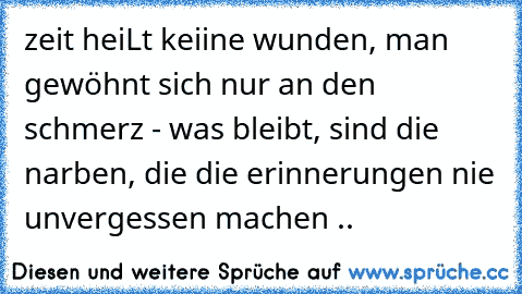 zeit heiLt keiine wunden, man gewöhnt sich nur an den schmerz - was bleibt, sind die narben, die die erinnerungen nie unvergessen machen .. ♥