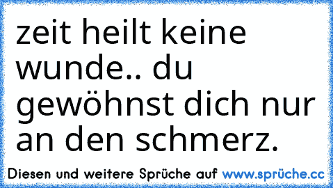 zeit heilt keine wunde.. du gewöhnst dich nur an den schmerz.