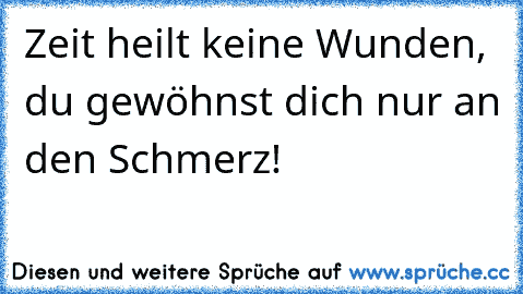 Zeit heilt keine Wunden, du gewöhnst dich nur an den Schmerz!