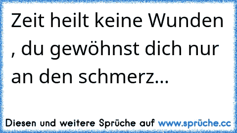 Zeit heilt keine Wunden , du gewöhnst dich nur an den schmerz...