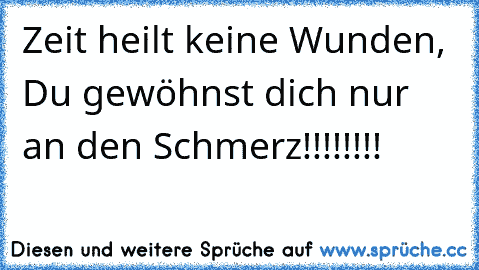 Zeit heilt keine Wunden, Du gewöhnst dich nur an den Schmerz!!!!!!!!