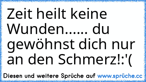 Zeit heilt keine Wunden...
... du gewöhnst dich nur an den Schmerz!
:'(