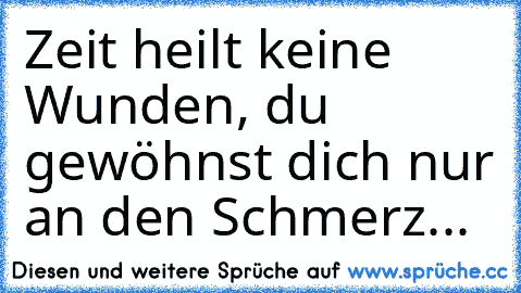 Zeit heilt keine Wunden, du gewöhnst dich nur an den Schmerz...