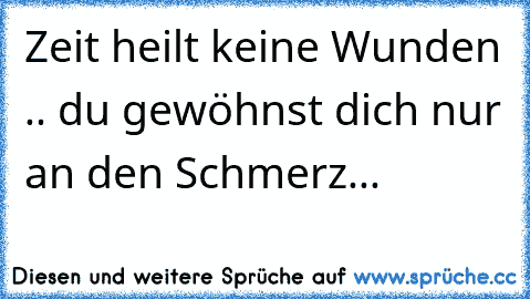 Zeit heilt keine Wunden .. du gewöhnst dich nur an den Schmerz...