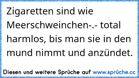 Zigaretten sind wie Meerschweinchen-.- total harmlos, bis man sie in den mund nimmt und anzündet.♥