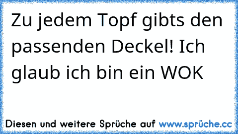 Zu jedem Topf gibts den passenden Deckel! Ich glaub ich bin ein WOK