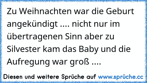 Zu Weihnachten war die Geburt angekündigt .... nicht nur im übertragenen Sinn aber zu Silvester kam das Baby und die Aufregung war groß ....