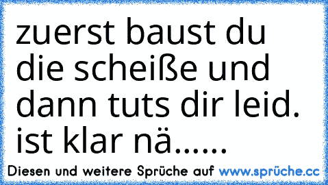 zuerst baust du die scheiße und dann tuts dir leid. ist klar nä......