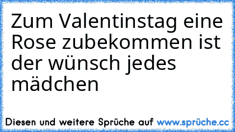 Zum Valentinstag eine Rose zubekommen ist der wünsch jedes mädchen ♥