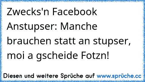 Zwecks'n Facebook Anstupser: Manche brauchen statt an stupser, moi a gscheide Fotzn!