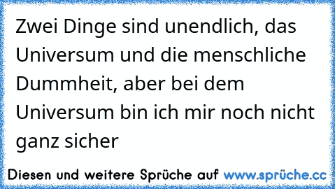 Zwei Dinge sind unendlich, das Universum und die menschliche Dummheit, aber bei dem Universum bin ich mir noch nicht ganz sicher