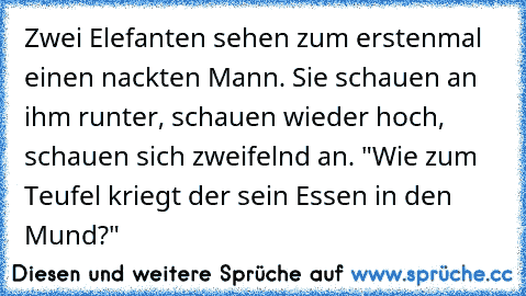 Zwei Elefanten sehen zum erstenmal einen nackten Mann. Sie schauen an ihm runter, schauen wieder hoch, schauen sich zweifelnd an. "Wie zum Teufel kriegt der sein Essen in den Mund?"