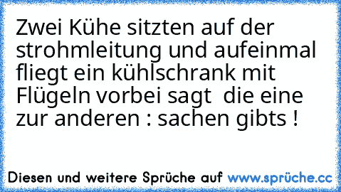 Zwei Kühe sitzten auf der strohmleitung und aufeinmal fliegt ein kühlschrank mit Flügeln vorbei sagt  die eine zur anderen : sachen gibts !