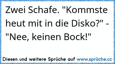 Zwei Schafe. "Kommste heut mit in die Disko?" - "Nee, keinen Bock!"