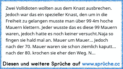 Zwei Vollidioten wollten aus dem Knast ausbrechen. Jedoch war das ein spezieller Knast, den um in die Freiheit zu gelangen musste man über 99 4m hoche Mauern klettern. Jeder wusste das es diese 99 Mauern waren, jedoch hatte es noch keiner versucht.
Naja so fingen sie hald mal an. Mauer um Mauer... Jedoch nach der 70. Mauer waren sie schon ziemlich kaputt... nach der 80. krochen sie eher den Weg...