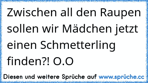 Zwischen all den Raupen sollen wir Mädchen jetzt einen Schmetterling finden?! O.O