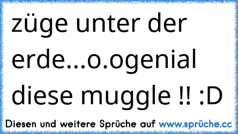 züge unter der erde...o.o
genial diese muggle !! :D