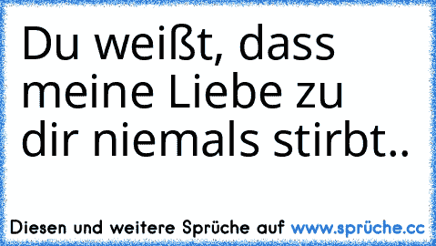 » Du weißt, dass meine Liebe zu dir niemals stirbt..«