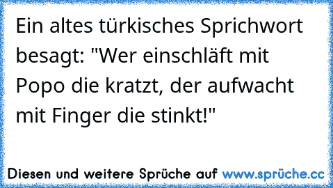 » Ein altes türkisches Sprichwort besagt: "Wer einschläft mit Popo die kratzt, der aufwacht mit Finger die stinkt!" «